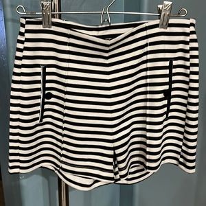 Dressy stylish shorts.